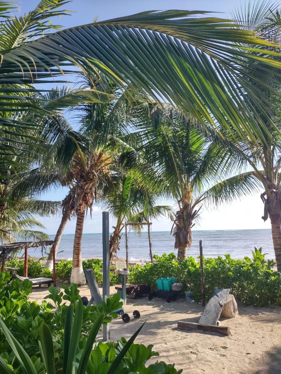 Lunazul Eco-Cabana Frente Al Mar Mahahual Luaran gambar
