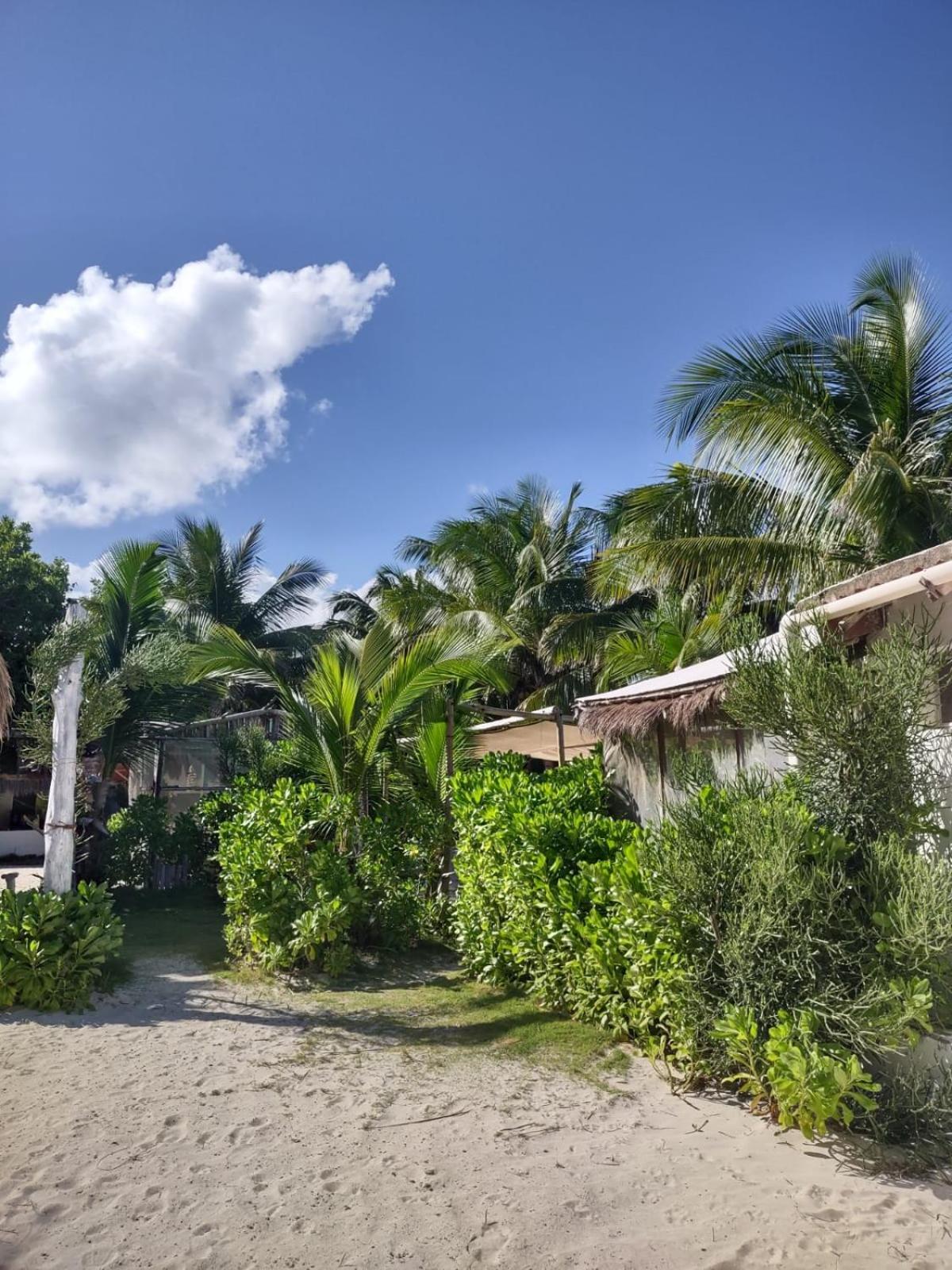 Lunazul Eco-Cabana Frente Al Mar Mahahual Luaran gambar