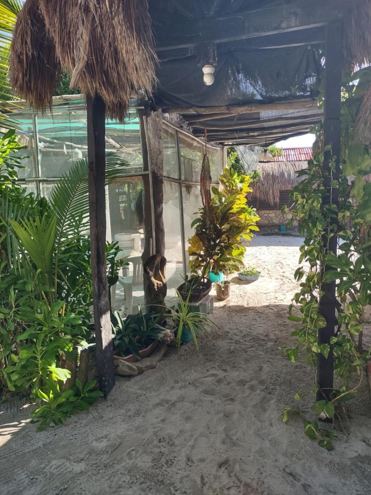 Lunazul Eco-Cabana Frente Al Mar Mahahual Luaran gambar
